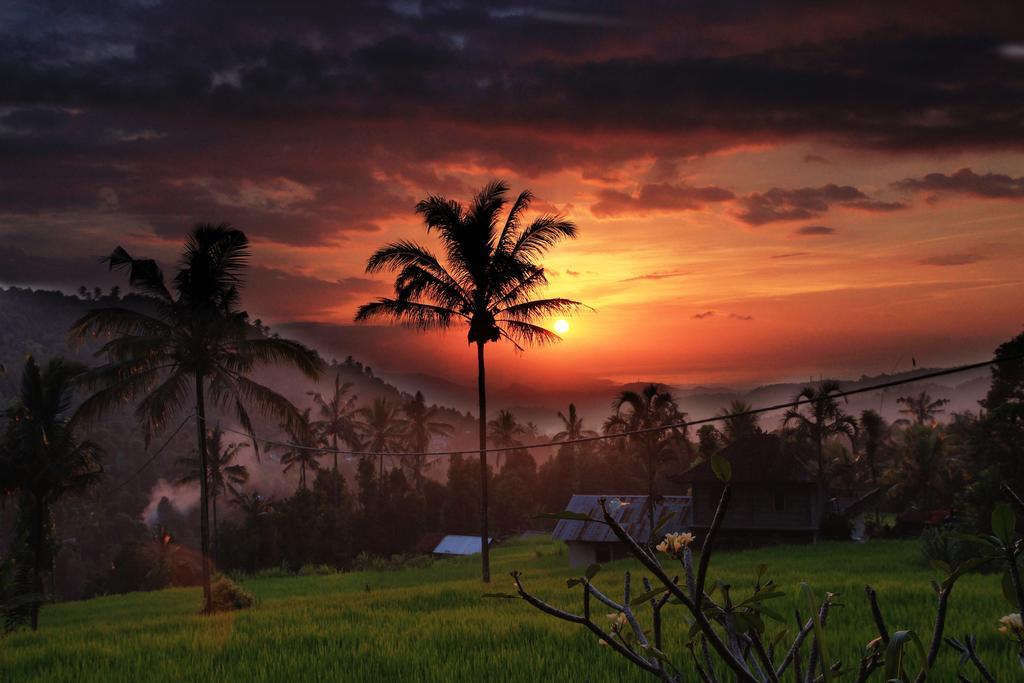 Gangga Homestay Munduk  Exterior photo